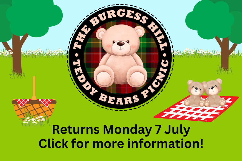 The Burgess Hill Teddy Bears Picnic